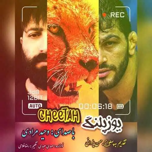 یوزپلنگ